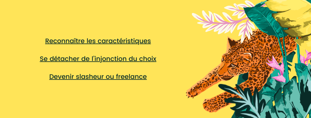 bannières newsletter-56 - Misfit