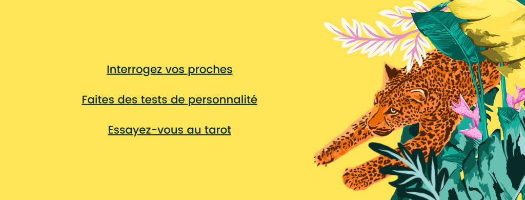 bannières newsletter-32 - Misfit
