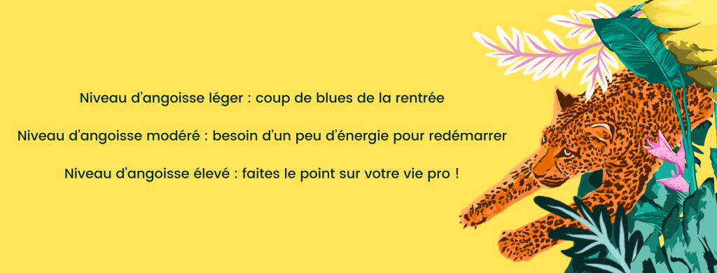 bannières newsletter-18 - Misfit