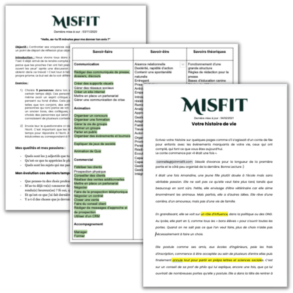 MODULE 5 (3) - Misfit - Bilans de compétences non conventionnels pour femmes