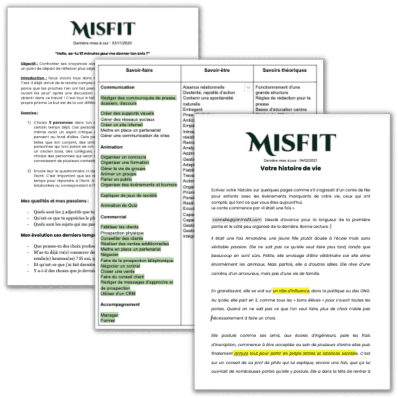 MODULE-5-3 (1) - Misfit - Bilans de compétences non conventionnels pour femmes